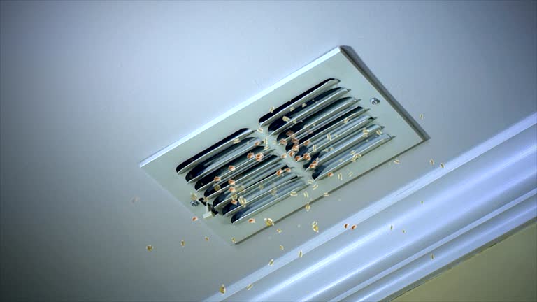 Best Affordable Duct Cleaning Services  in Trooper, PA
